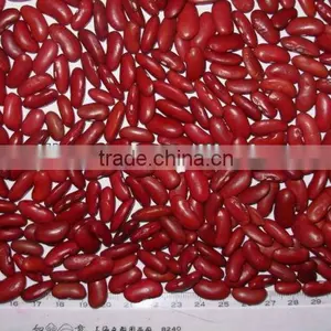 Dark Red Kidney Beans thumbnail-1