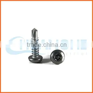 China Supplier Din7985 Anti-theft Screw thumbnail-5