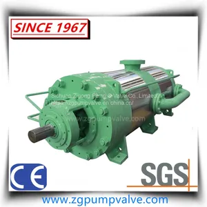 Barrel Double Casing Bb5 Self Balanced Double Casing Multistage Pump thumbnail-1