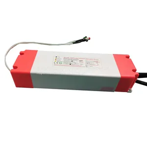 New Integrated Emergency Led Driver Power Supply 100% Power Emergency Device With Customized thumbnail-2