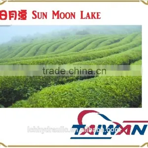 Hot China Products Wholesale Black Tea Price thumbnail-4