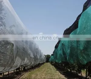 High Quality Plastic Bee Net Anti Mesh Net Against Hail For Tree Plant Fruits thumbnail-3