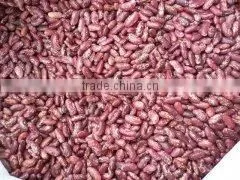 Chinese Speckled Kidney Beans Light Purple Red Color thumbnail-1