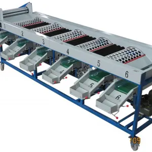 Apple Dates Size Grading Sorting Machine/mango Fruit Grading Machine thumbnail-3