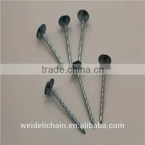 Competitive Price BWG10X2.5" Roofing Nails thumbnail-5