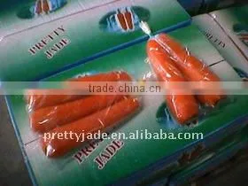 Carrot Price thumbnail-1