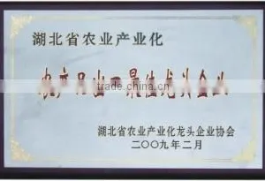 Zigui Diyuan Food And Canned Food Co., Ltd. company overview - view 3 thumbnail