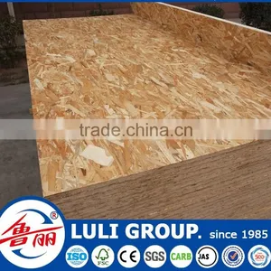 Fairly Confident Osb in Sale thumbnail-4