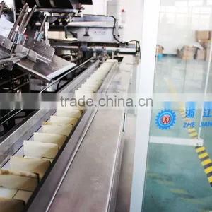 Blister Cartoning Machine (XWZ-120) thumbnail-5