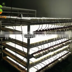 UL CUL Certificate 50ft 50w 3 Years Warranty IR Sensor Led Tri-proof Light thumbnail-3