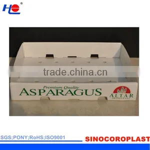 Retardant and Tear Resistance Plastic Polypropylene Protection Box thumbnail-1