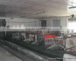 Shouguang Bilong Vegetable Fruit Co., Ltd. company overview - view 4 thumbnail