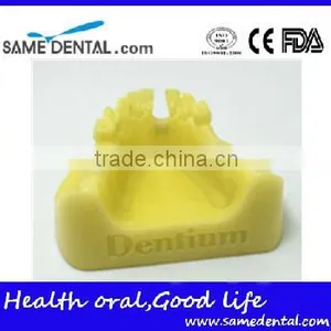 Mandibular Implant Dental Training Model (no Gum) Dental Eduction Assitant No. DEA-22 thumbnail-2