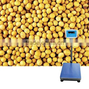 CE Approval Weighing Scale 600kg thumbnail-1