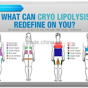 2016 New Products Body Criolipolisis Cryolipolysis Machine Lipolaser Cryolipolysis Vertical Fat Freeze Slimming Machine Best Selling Increasing Muscle Tone thumbnail-2