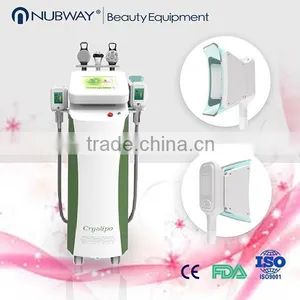 2015 Best Sell Cryolipolysis Equipment for Beautysalon and Laser Clinic! Keyword Cavitation Rfcryolipolysis Beauty Machine thumbnail-1