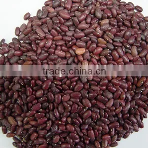 RED KIDNEY BEANS,RED BEANS,KIDNEY BEANS thumbnail-1