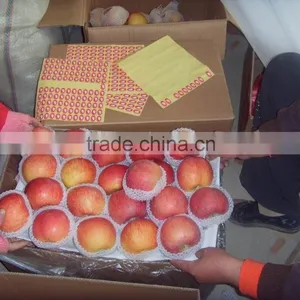 Fresh Fuji Apple thumbnail-1