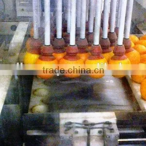 Fresh Navel Orange High Quality thumbnail-5