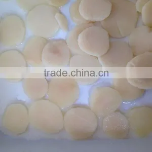 Canned Water Chestnuts Slice in Water thumbnail-1