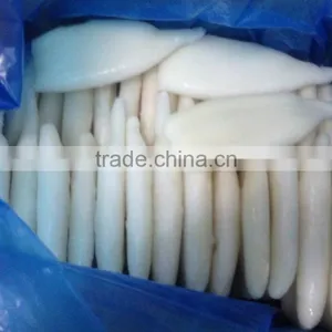 Frozen Squid Tube Fish U5 thumbnail-1