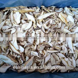 Healthy Mushroom Shitake Slice thumbnail-1
