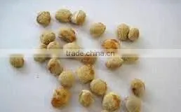 Indian Bael Fruits Tree Seeds Aegle Marmelos Rajasthan Asia thumbnail-2