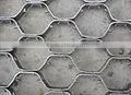 Tortoise Shell Mesh thumbnail-1