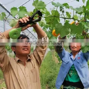 Tape Too Time Saving Agriculture Tool of Hand Tying Machine Tapetool With no Tape Flotsam thumbnail-1