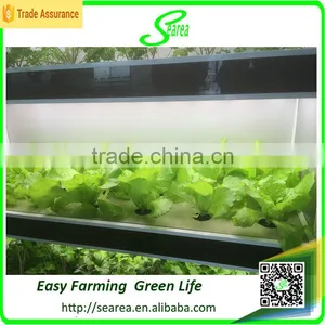 Good Use Hydroponic Styrofoam Greenhouse thumbnail-2