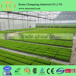 HOME PLASTIC GREENHOUSE GLOWING TENT FOR VEGETABLE thumbnail-4