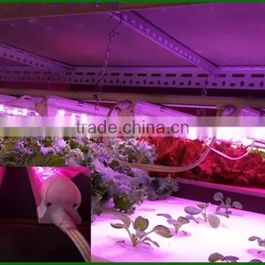 Cheap but Good Full Spectrum Led Grow Lights 20W Best Led Lamp for Hydroculture thumbnail-5