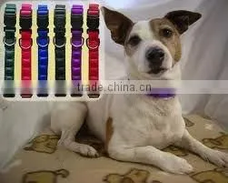 Magnetic Pet Collars thumbnail-1