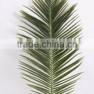 SJ12001119 Dried Plam Tree Leave/artificial Big Leaves thumbnail-2