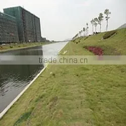 Inland Waterway Improvement Geo Bag thumbnail-2