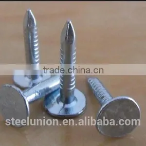 Galvanized Clout Nails With Flat Head/ Clout Nail Roofing Nails thumbnail-4