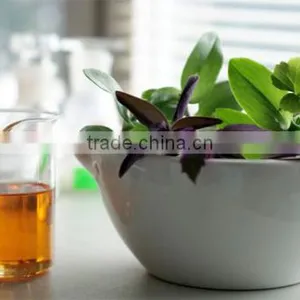 Borage Oil thumbnail-2