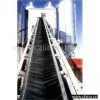 Sell Conveyor Belt thumbnail-1
