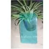 Export 1.5-3mm Sheet Glass thumbnail-1
