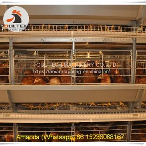Iran Poultry Farming & Chicken Farming Battery Chicken Cage & Layer Cage & Chicken Coop & Hen Coop & Laying Hen Cage in Chicken House thumbnail-2