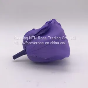 Preserved Fresh Roses Flower for Home Decoration thumbnail-4