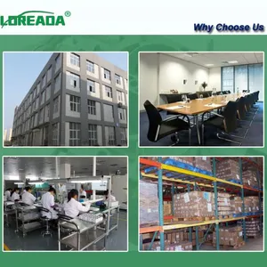 Loreada Auto Parts Co., Ltd company overview - view 3 thumbnail