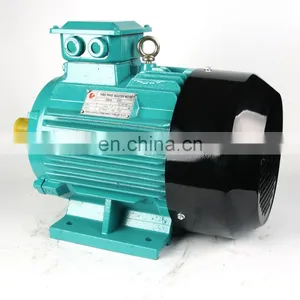 THREE PHASE ELECTRIC MOTOR thumbnail-3