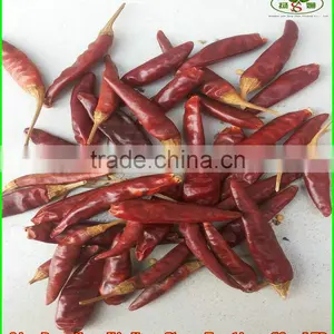 (HOT)small Hot Chili/hot Chilli Pepper/chaotian Chilli thumbnail-1