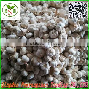 Pollution-free Garlic/pure White Garlic, Garlic Exports thumbnail-2