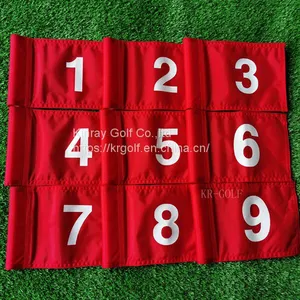 Numbered Tube Style Practice Green Flags (6