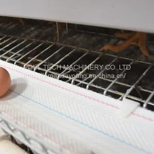 Battery Cage for Chicken Poultry Cage thumbnail-2