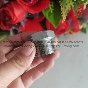 DN25 Stainless Steel Pipe Square Plug 1