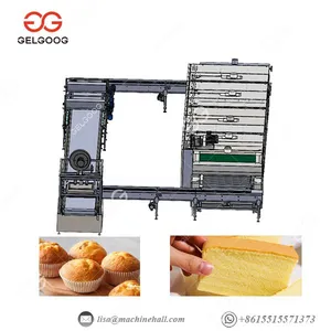 Whole Solution for Sponge Cake Production Line in Electric and Gas thumbnail-3