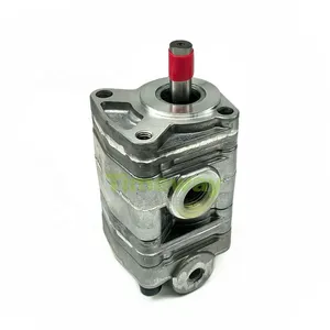 YPD1 Double Gear Pump YPD1-2.52.5A2D2-L038 High Pressure Hydraulic Heavy-duty Gear Lubetransfer Oil Pump thumbnail-1